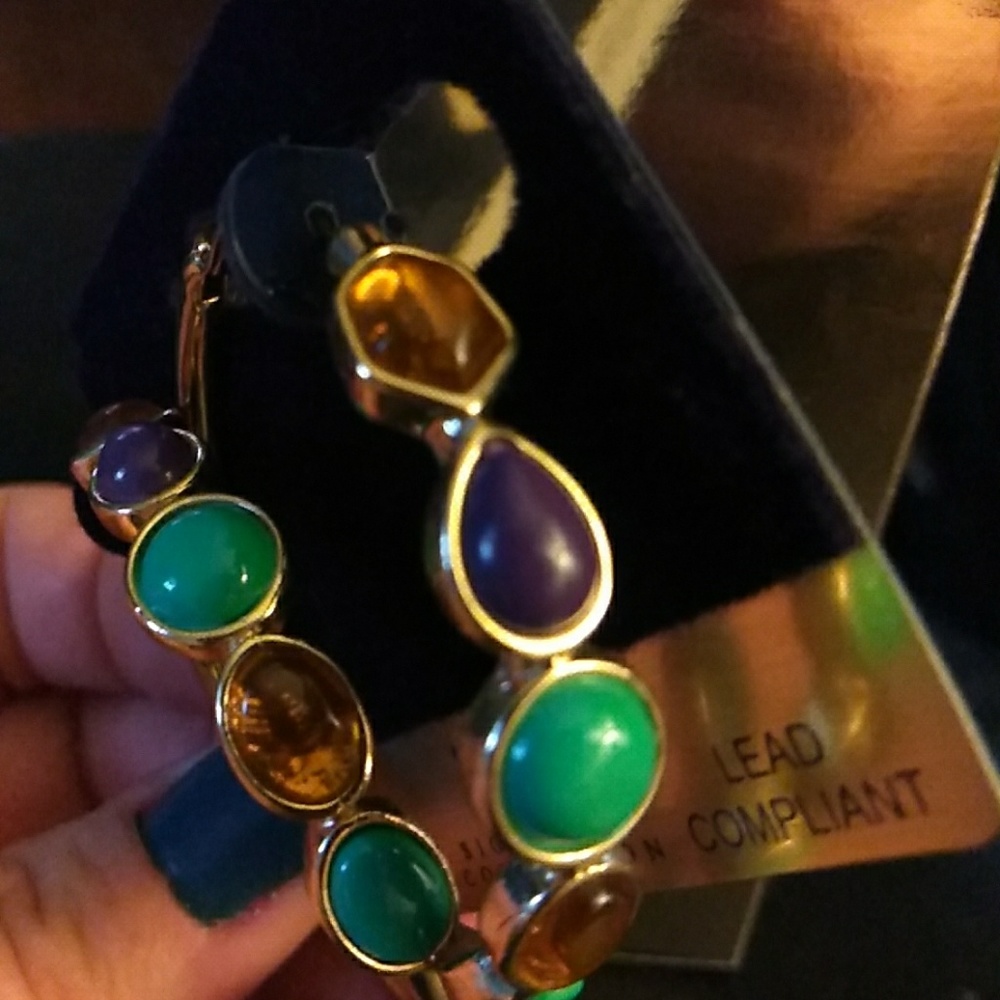 Beautiful, multicolored hooped earrings